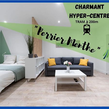 Ferienwohnung ※Perrier Menthe※ Hyper-Centre Et Tranquillite Clermont-Ferrand Exterior foto