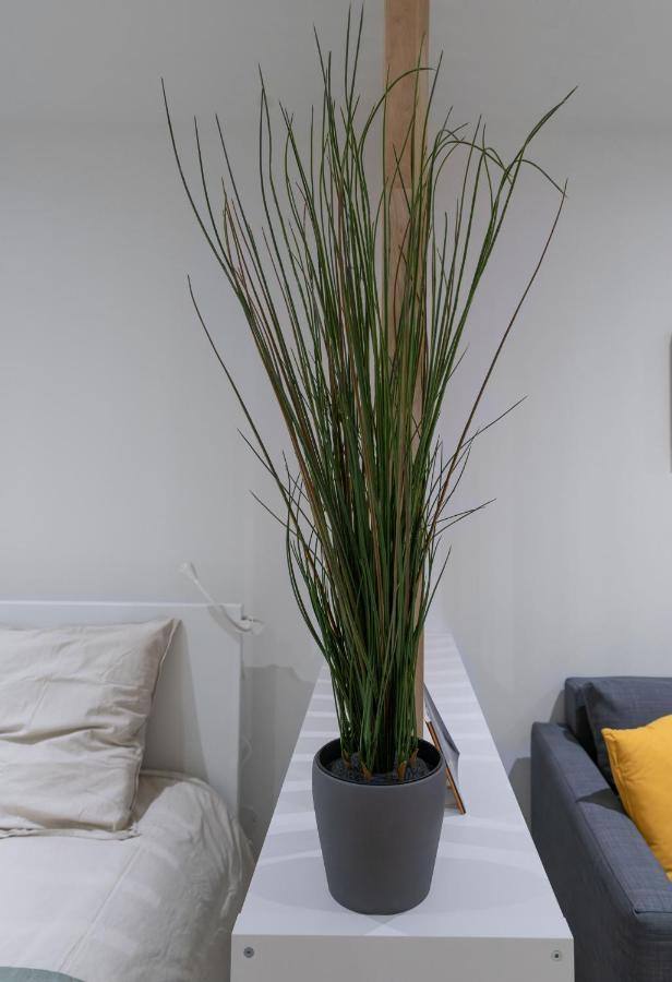 Ferienwohnung ※Perrier Menthe※ Hyper-Centre Et Tranquillite Clermont-Ferrand Exterior foto